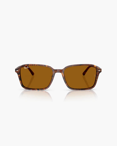 RAY BAN RB2231 - 141833 RAIMOND