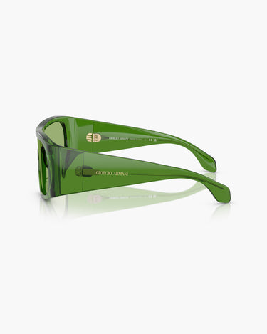 GIORGIO ARMANI AR8222U - 6191/2
