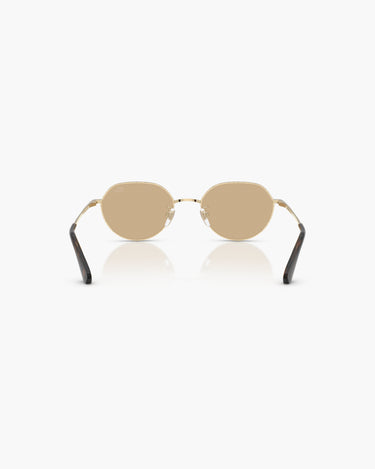 BURBERRY BE3173D - 110973