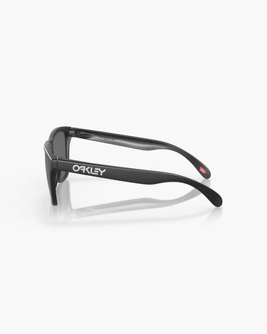OAKLEY SOLE OO9013 - 9013F7  FROGSKINS