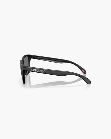 OAKLEY OO9013 - 9013M7  FROGSKINS