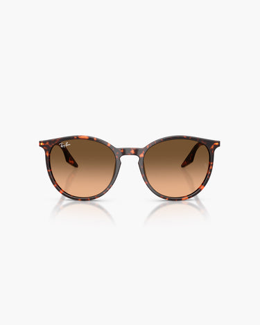 RAY-BAN RB2204 - 14293B