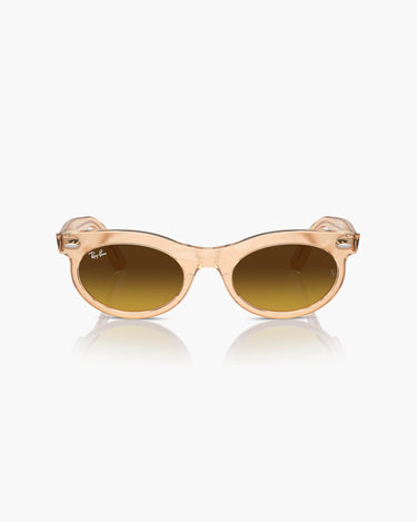 RAY BAN RB2242 - 138685  WAYFARER OVAL