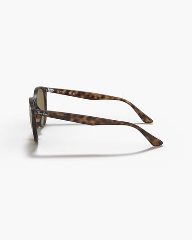 RAY-BAN RB4305 - 710/73