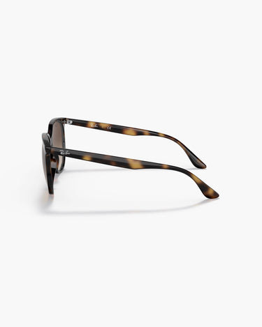 RAY-BAN RB4378 - 710/13