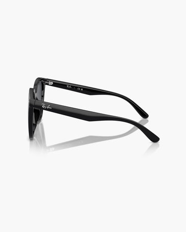 RAY-BAN RB4423D - 601/87