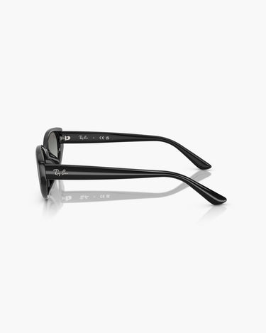 RAY-BAN RB4457D - 667711