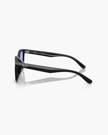 RAY-BAN RB4461D - 601/80